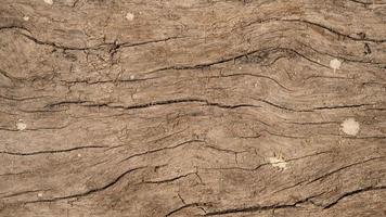 Wood texture background wood planks Grunge wood photo