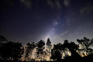 The milky way over the trees in the night sky photo