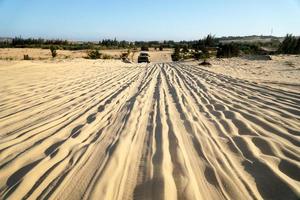 Beautiful Dried Land photo