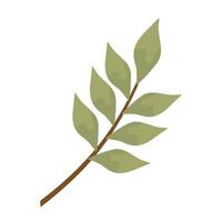 rama, con, hojas, planta, naturaleza, icono vector