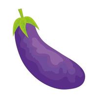 fresh eggplant vegetable vector