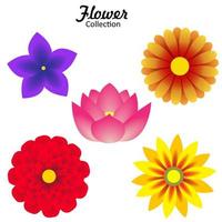 flower collection with gradient vector