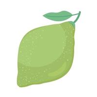 sweet guava fruit nutritive icon vector