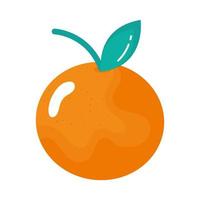 orange fresh fruit vector