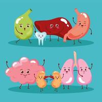 seven cute organs vector