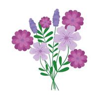 beautiful floral bouquet with purple flowers vector