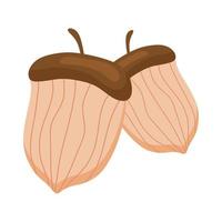 nuts seeds food isolated icon vector