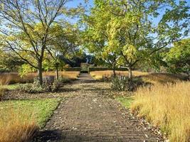 Path through a park on a sunny autumn day photo