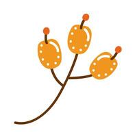 autumn branch and seeds vector