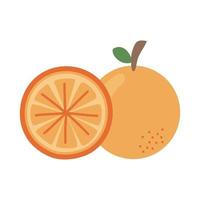 orange citrus fruit vector