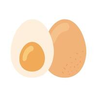 boiled egg food vector