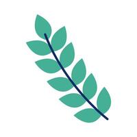 Plant leaf icon vector