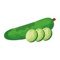 cucumber fresh vegetable vector