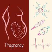 pregnancy five icons vector