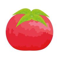 fresh tomato vegetable vector