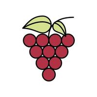 grapes fresh fruits isolated icon vector