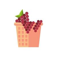 grapes fresh fruits in basket straw vector