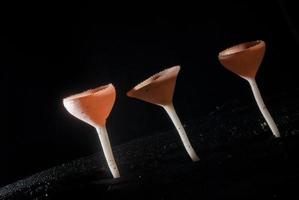 beautiful pink champagne mushroom in rain forest photo