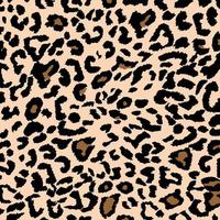 Leopard pattern design vector