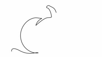 Continuous line drawing of Halloween pumpkin. Vector illustration video