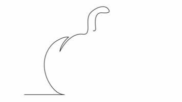 Continuous line drawing of Halloween pumpkin. Vector illustration video