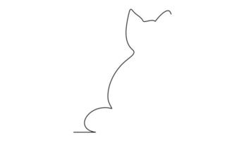 Continuous line drawing of a cat video