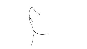 Continuous black line drawing a simple cat pattern video