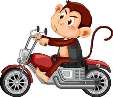 mono monta motocicleta personaje de dibujos animados vector