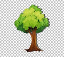 Tree on grid background vector