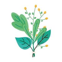 spring season green leafs and seeds yellow decoration vector