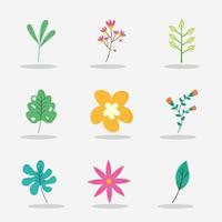 bundle seven spring flowers with leafs vector