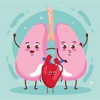 lungs and heart vector