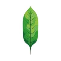 green ecology leaf vector