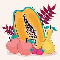 six tropical fruits vector