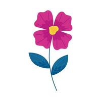 purple flower icon vector