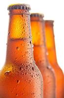 Three fresh beer bottle on white background photo