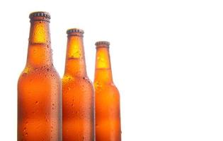Three fresh beer bottle on white background and copy space photo