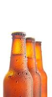 Three fresh beer bottle on white background and copy space photo