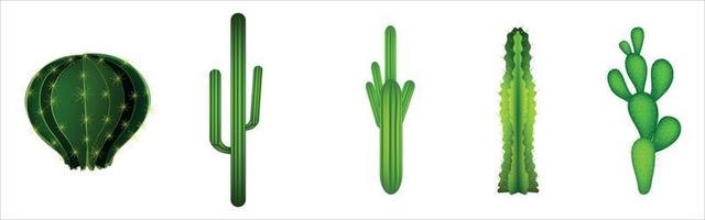 vector de colección de cactus