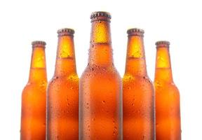 Set of five beer bottles isolated on white background