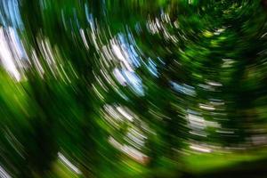 Abstract green background from circular movements of the camera photo