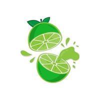 Flat lime half cut splash on white background. vector