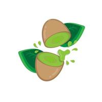 Flat kiwi half cut splash on white background. vector