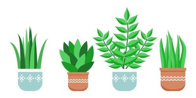 Cute beautiful home office plants set with different tree and plant vector