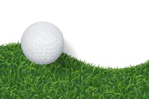 Golf ball and green grass background with area for copy space. Vector. vector