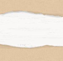 Ripped paper background on wood texture with framing area for copy space. Vector. vector