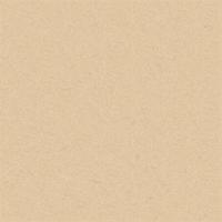 Brown paper texture for background. Vector. vector