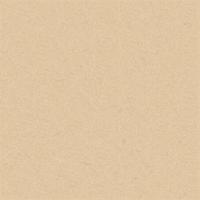 Brown paper texture for background. Vector. vector