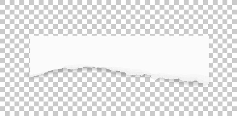 Ripped paper texture. Torn paper edges background. White paper for banner tag background. Vector.