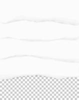 Torn paper edges for background. Ripped paper texture on transparent background. Vector. vector